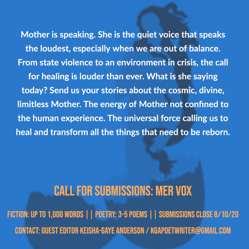 MER VOX Call for Submissions