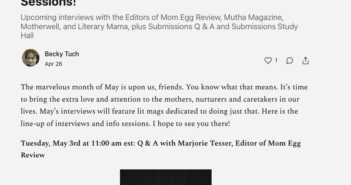 MER Editor Interviewed on Lit Mag News Roundup