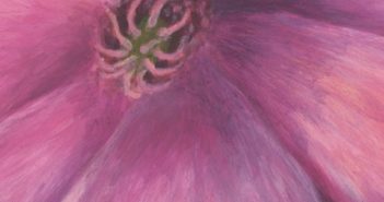 Paddock by Mary Lou Buschi