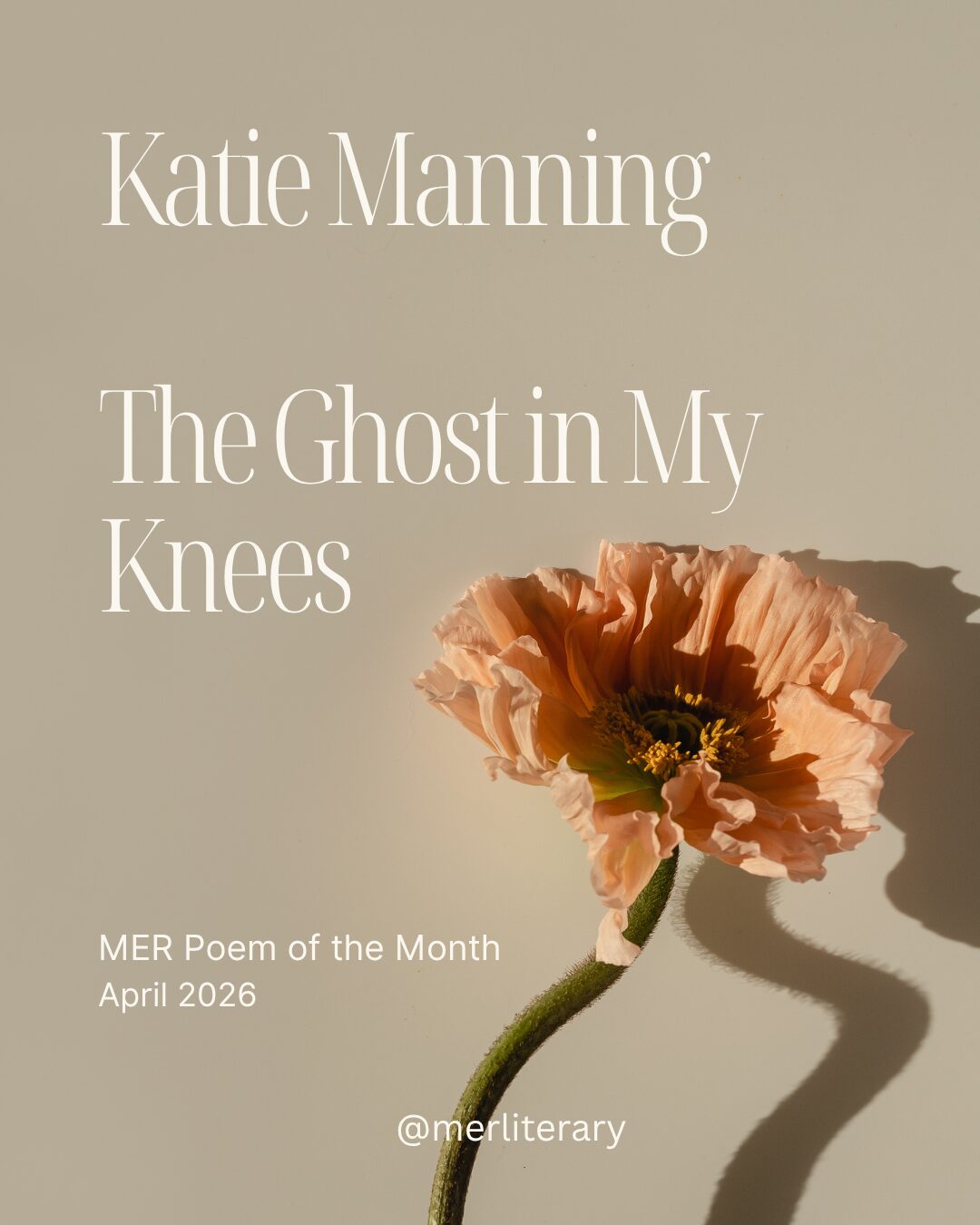Poem of the Month - April 2026 - MER - Mom Egg Review